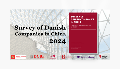 Survey of Danish Companies 2024 DCBF
