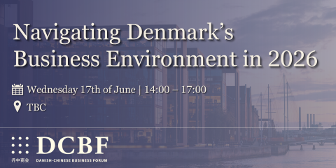 Navigating DK's Business Environment 2026