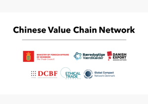 Chinese Value Chain Network 