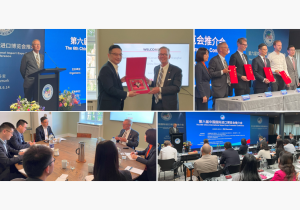 China Delegation Partnership Denmark