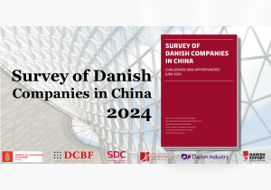 Survey of Danish Companies 2024 DCBF
